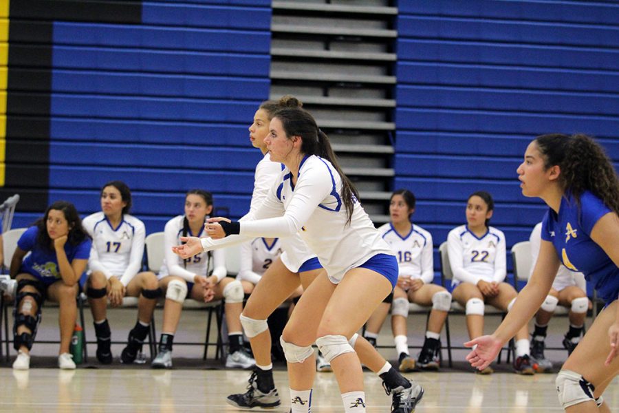 No. 14 Camille Ferguson gets ready to dig the ball. 