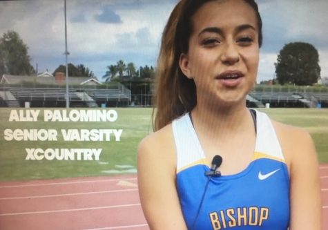 Athlete Profile: Ally Palomino