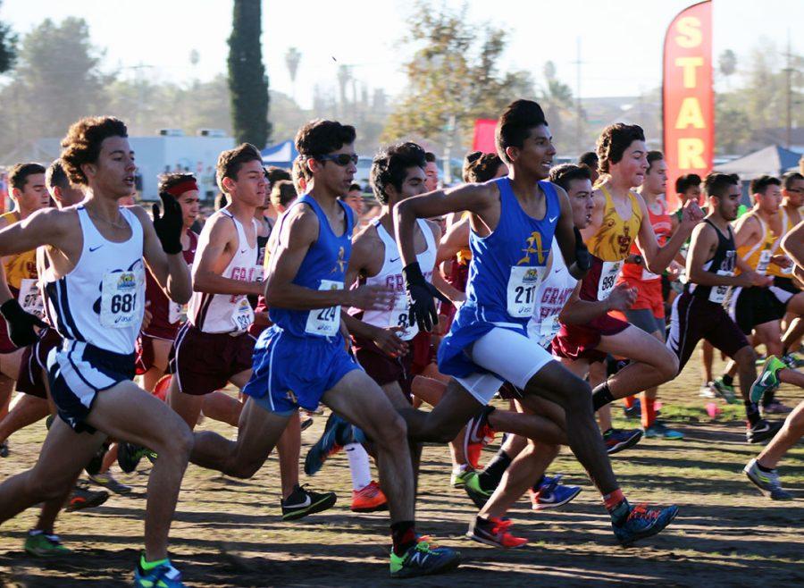 Girls disappointed in third-place finish at XC finals