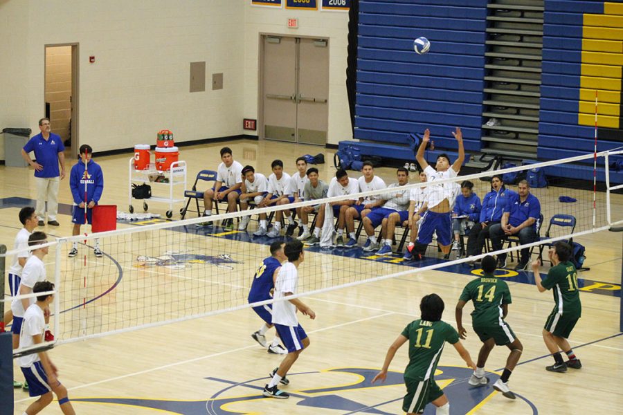 Boys Volleyball starts with the first serve. 