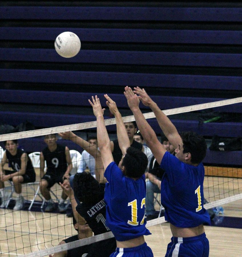 Amat front row teams up for a block