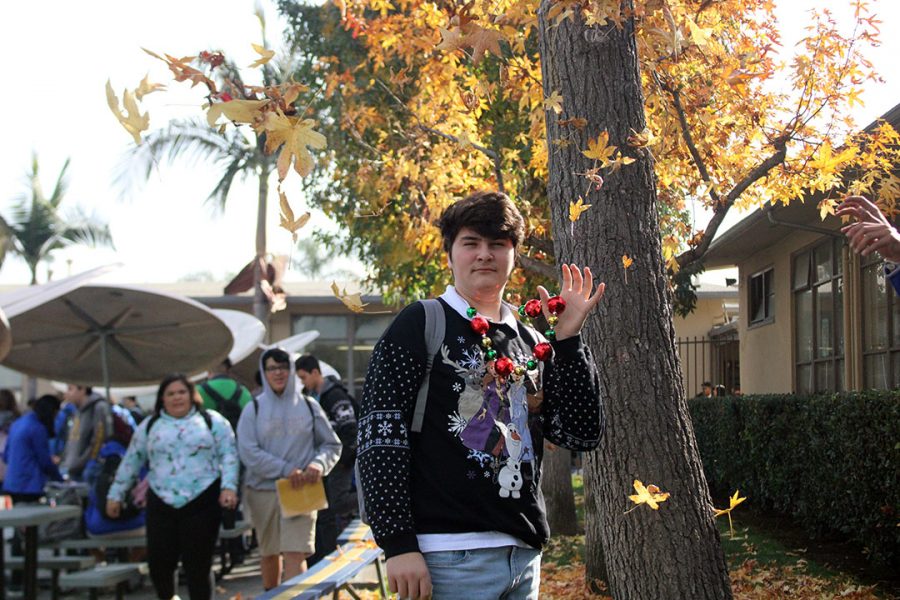 Luke Conly with his Frozen Christmas sweater.