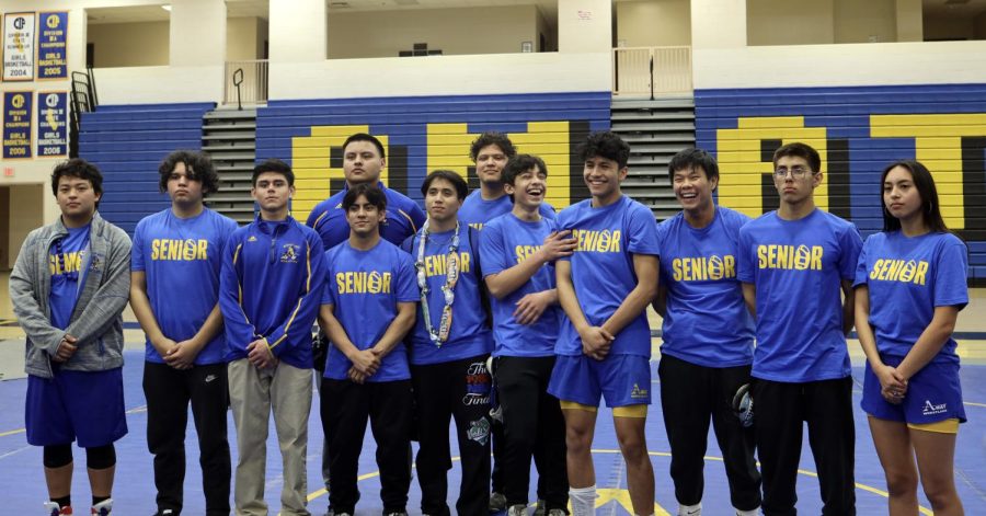 Amat+Wrestling+seniors+gathering+to+pose+for+a+picture+on+the+mat